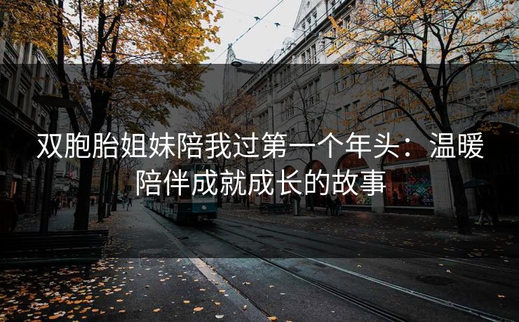双胞胎姐妹陪我过第一个年头:温暖陪伴成就成长的故事 双胞胎姐妹陪我过第一个年头:温暖陪伴成就成长的故事