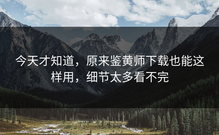 今天才知道，原来鉴黄师下载也能这样用，细节太多看不完