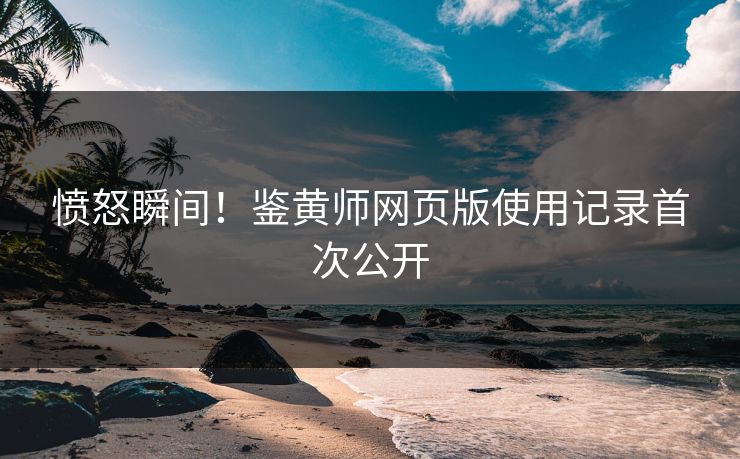 愤怒瞬间！鉴黄师网页版使用记录首次公开