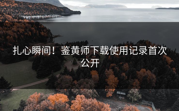 扎心瞬间！鉴黄师下载使用记录首次公开