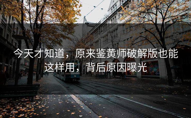 今天才知道，原来鉴黄师破解版也能这样用，背后原因曝光