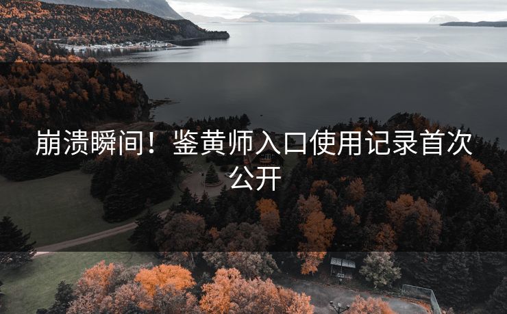 崩溃瞬间！鉴黄师入口使用记录首次公开