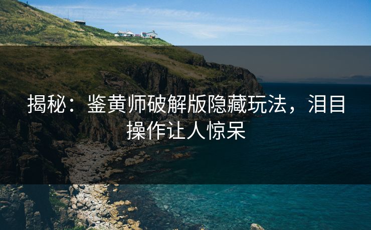 揭秘：鉴黄师破解版隐藏玩法，泪目操作让人惊呆
