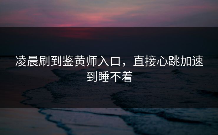 凌晨刷到鉴黄师入口，直接心跳加速到睡不着