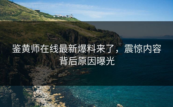 鉴黄师在线最新爆料来了，震惊内容背后原因曝光