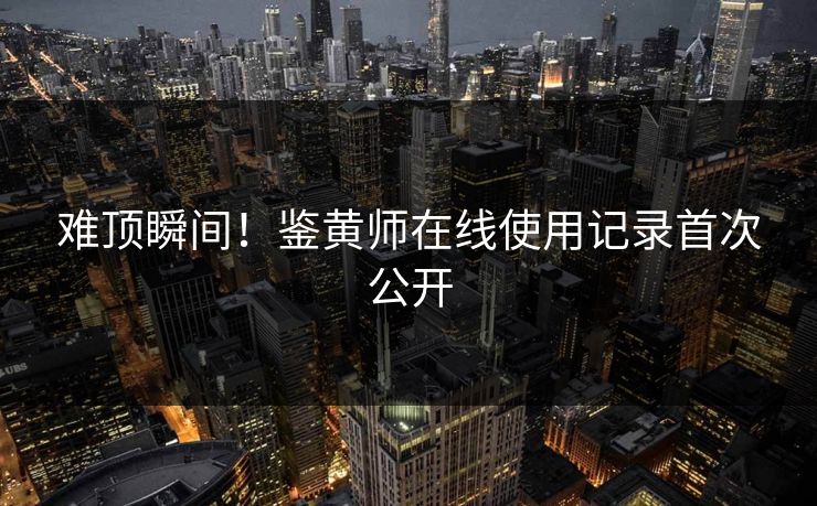 难顶瞬间！鉴黄师在线使用记录首次公开