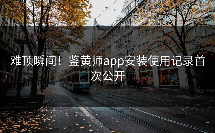 难顶瞬间！鉴黄师app安装使用记录首次公开