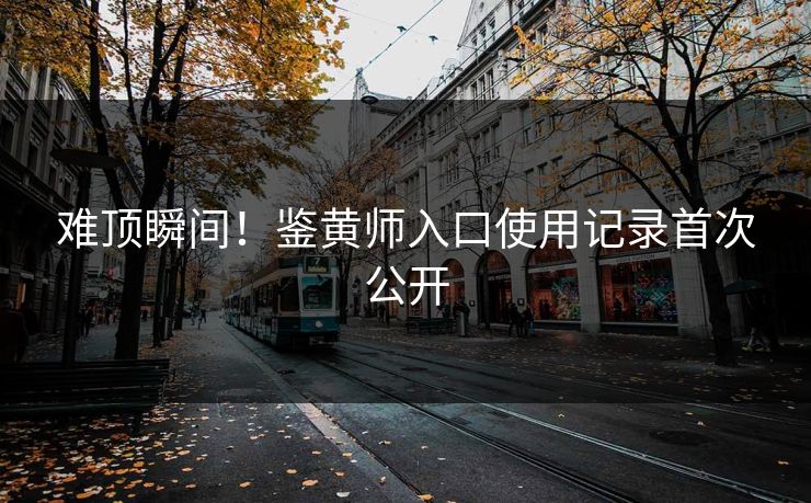 难顶瞬间！鉴黄师入口使用记录首次公开