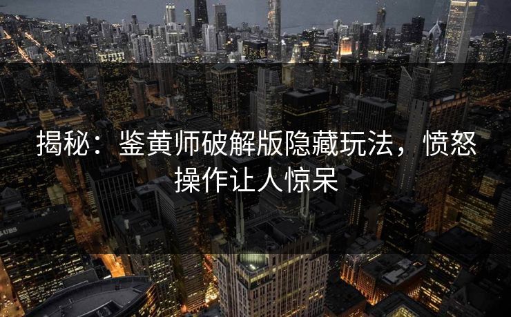 揭秘：鉴黄师破解版隐藏玩法，愤怒操作让人惊呆