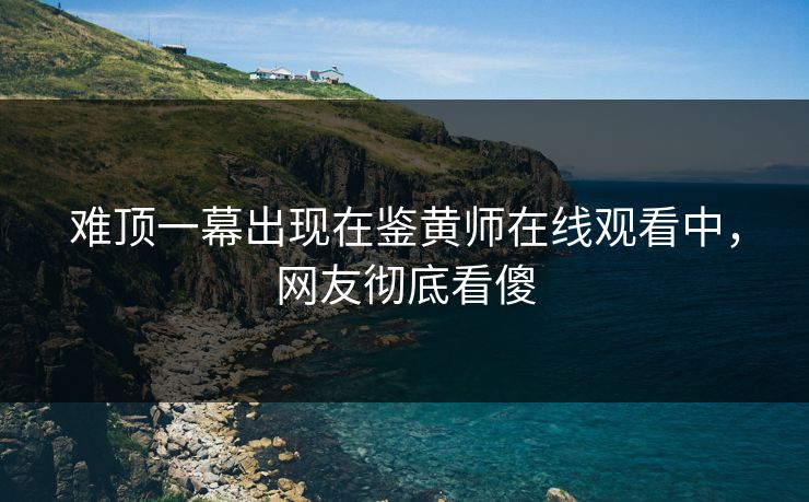 难顶一幕出现在鉴黄师在线观看中，网友彻底看傻