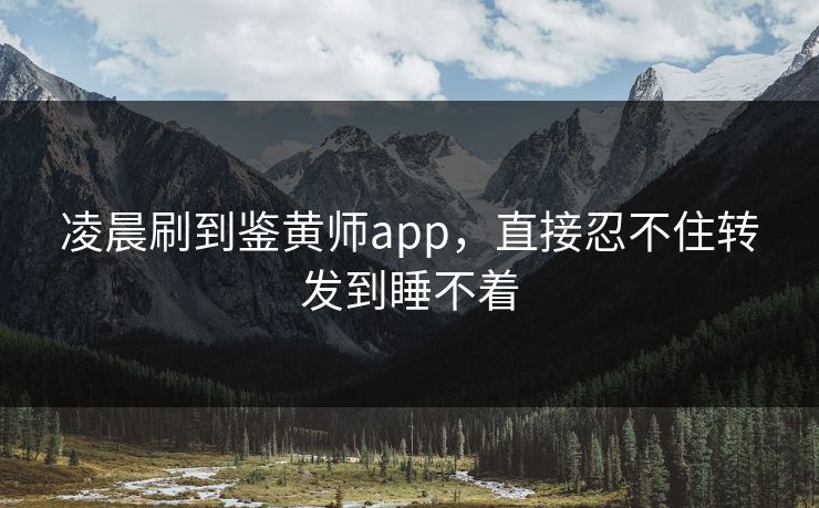 凌晨刷到鉴黄师app，直接忍不住转发到睡不着