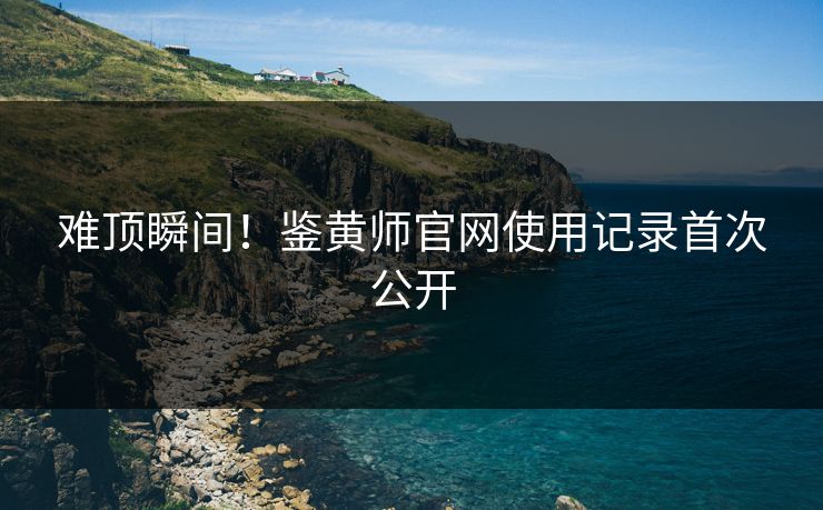 难顶瞬间！鉴黄师官网使用记录首次公开