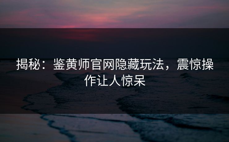 揭秘：鉴黄师官网隐藏玩法，震惊操作让人惊呆