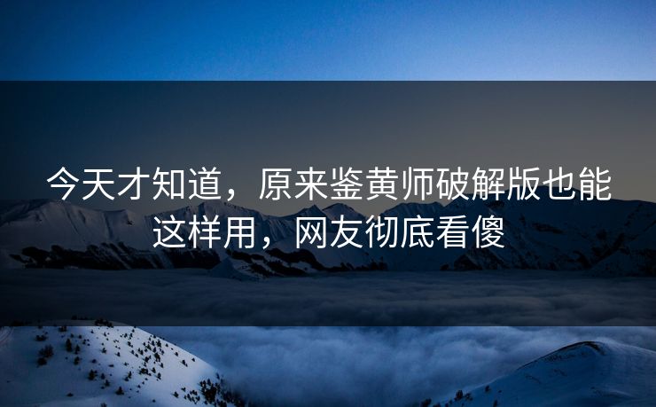 今天才知道，原来鉴黄师破解版也能这样用，网友彻底看傻