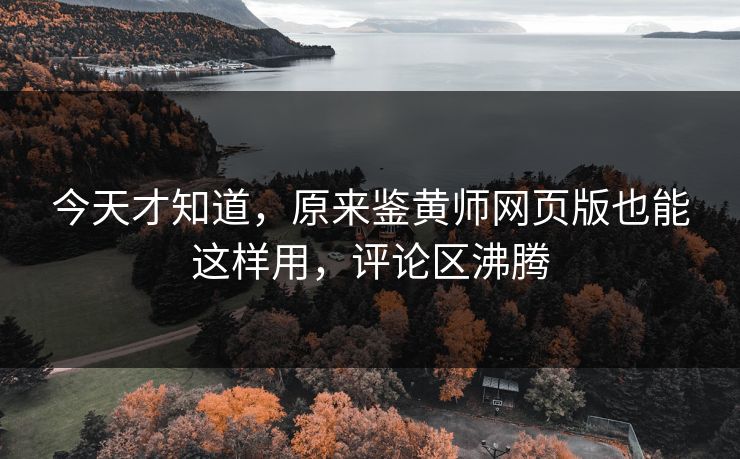 今天才知道，原来鉴黄师网页版也能这样用，评论区沸腾