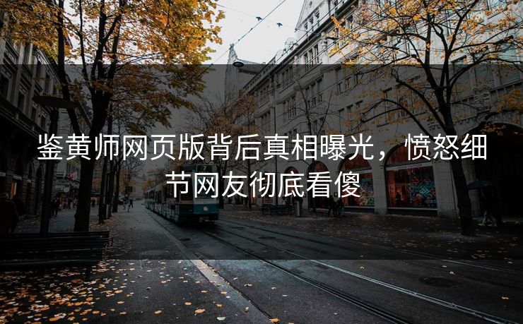 鉴黄师网页版背后真相曝光，愤怒细节网友彻底看傻