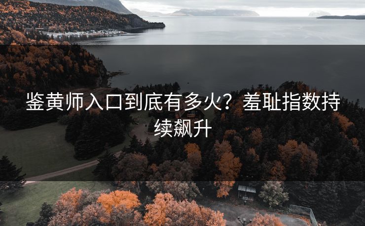 鉴黄师入口到底有多火？羞耻指数持续飙升