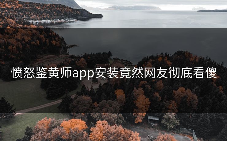 愤怒鉴黄师app安装竟然网友彻底看傻