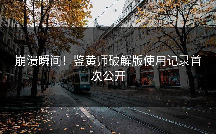 崩溃瞬间！鉴黄师破解版使用记录首次公开