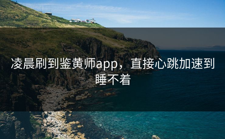 凌晨刷到鉴黄师app，直接心跳加速到睡不着