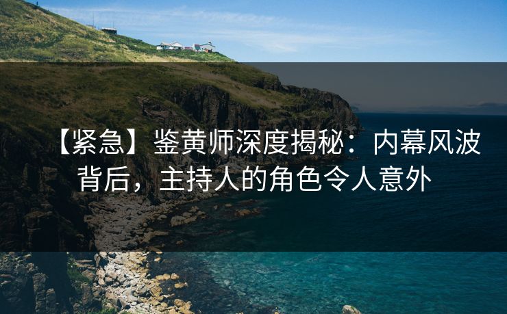 【紧急】鉴黄师深度揭秘：内幕风波背后，主持人的角色令人意外