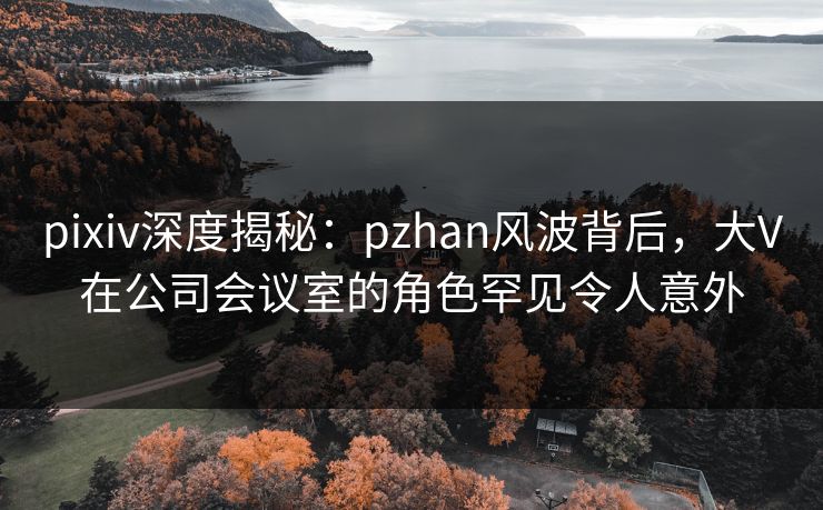 pixiv深度揭秘：pzhan风波背后，大V在公司会议室的角色罕见令人意外