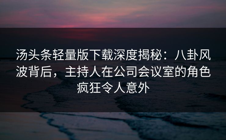 汤头条轻量版下载深度揭秘：八卦风波背后，主持人在公司会议室的角色疯狂令人意外