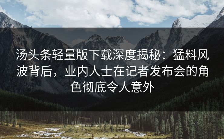 汤头条轻量版下载深度揭秘：猛料风波背后，业内人士在记者发布会的角色彻底令人意外
