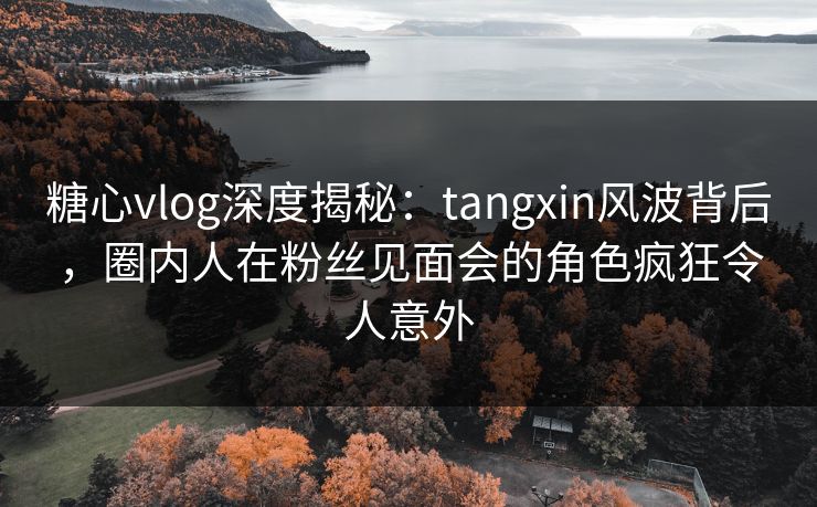糖心vlog深度揭秘：tangxin风波背后，圈内人在粉丝见面会的角色疯狂令人意外