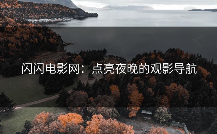 闪闪电影网：点亮夜晚的观影导航