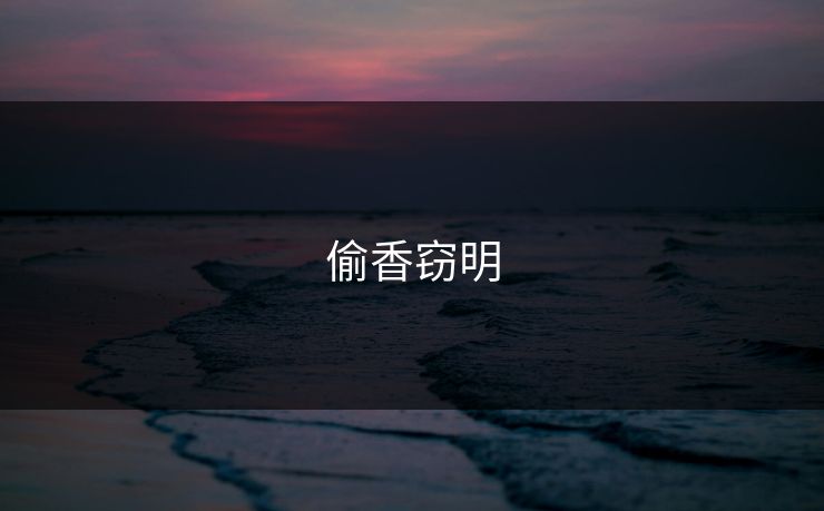 偷香窃明
